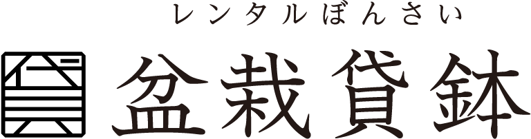 レンタルぼんさい