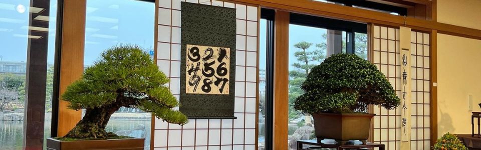 高級黒松盆栽の手入れと預かりサービスを創業90年のプロが解説