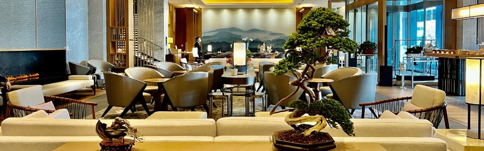 BONSAIタイムセール 盆栽 インテリア 古木 実生60年 四国黒松 中品盆栽 A-BONSAI JinShari（黒松 高40㎝） – J-和インターナショナルストア