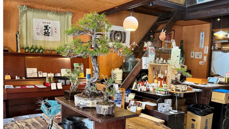玉木酒店での盆栽ワークショップ