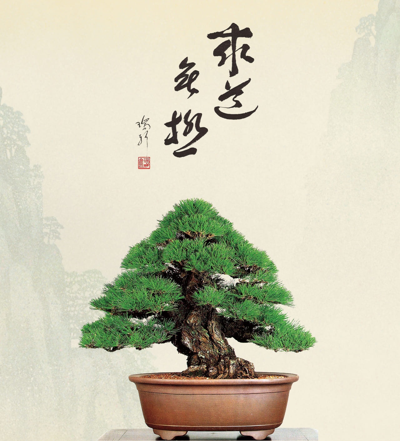葉山有樹　緑地梅花文壺 葉山有樹 緑地梅花文壺