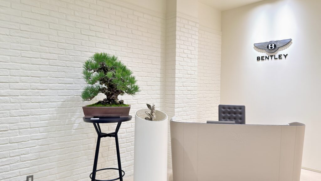 白いレンガ壁のエントランスに飾られた黒松の盆栽とBENTLEYロゴのカウンター｜盆栽の企業展示