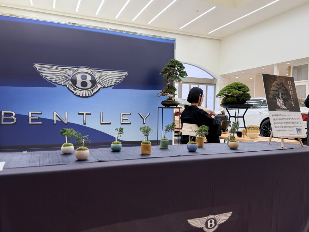 企業イベント向け盆栽レンタルの展示例としてのミニ盆栽とテーブルディスプレイ｜盆栽レンタル