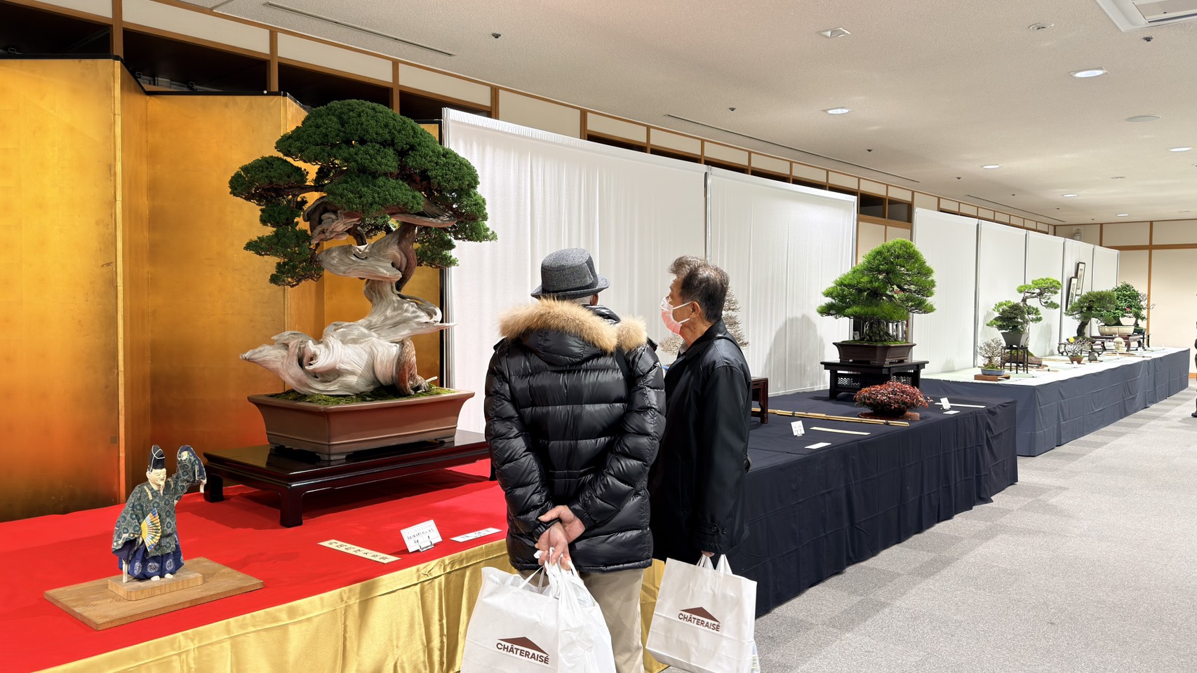 開催御礼】第95回銘風盆栽展｜新春を彩る珠玉の盆栽たち | 盆栽の