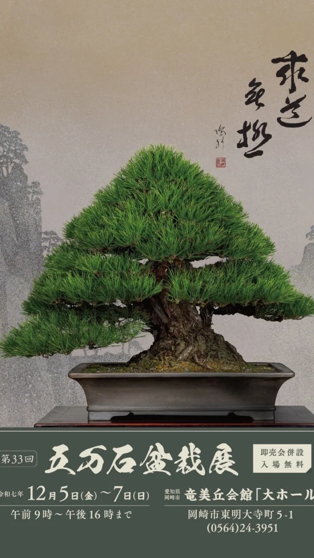 盆栽のレンタル・販売・教室・手入れ・育て方のことなら愛知の大樹園