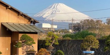 iOS の画像 (5)