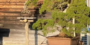 iOS の画像 (4)