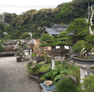 shourokuen