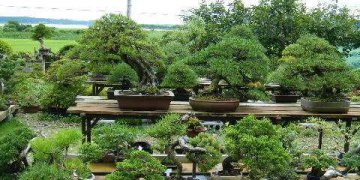 2009_0731rakutennshop0004