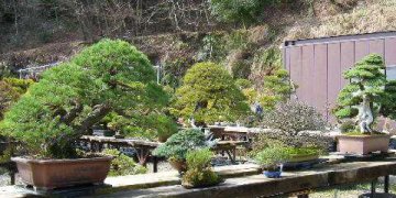 2010_0224rakutennshop0004