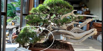 iOS の画像 (32)