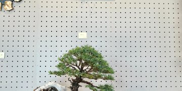 iOS の画像 (44)