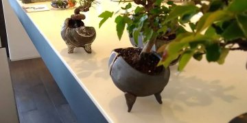 iOS の画像 (41)