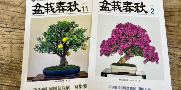 iOS の画像 (33)