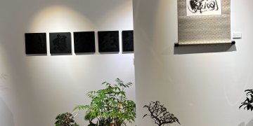 IMG_0141