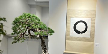 IMG_0231