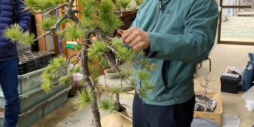 IMG_4881