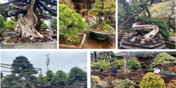 ZEN01_（写真はZ-EN撮影）
