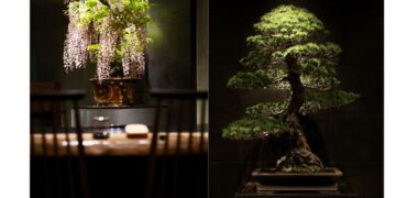 名称未設定のデザイン