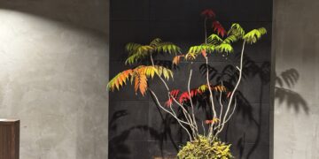 IMG_0022