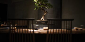 S__38183081_0