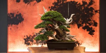 bonsai-display-traditional-wall