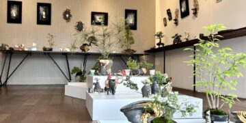 bonsai-exhibition-gallery
