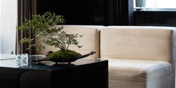 bonsai-modern-living-room