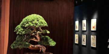 japanese-gallery-bonsai-art