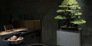 japanese-tea-room-bonsai