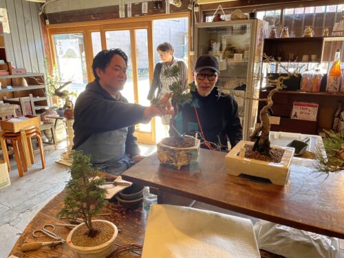 玉木酒店での盆栽ワークショップ