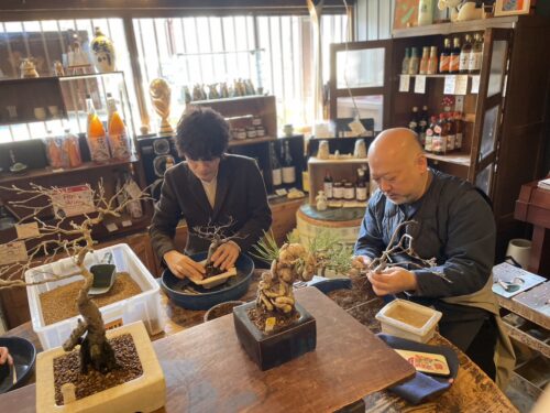 玉木酒店での盆栽ワークショップ