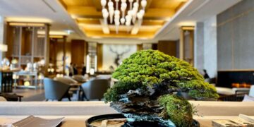 luxurious-restaurant-bonsai