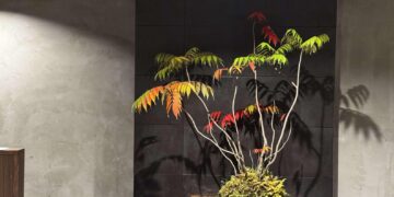 modern-art-style-bonsai
