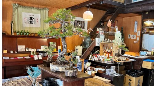 玉木酒店での盆栽ワークショップ