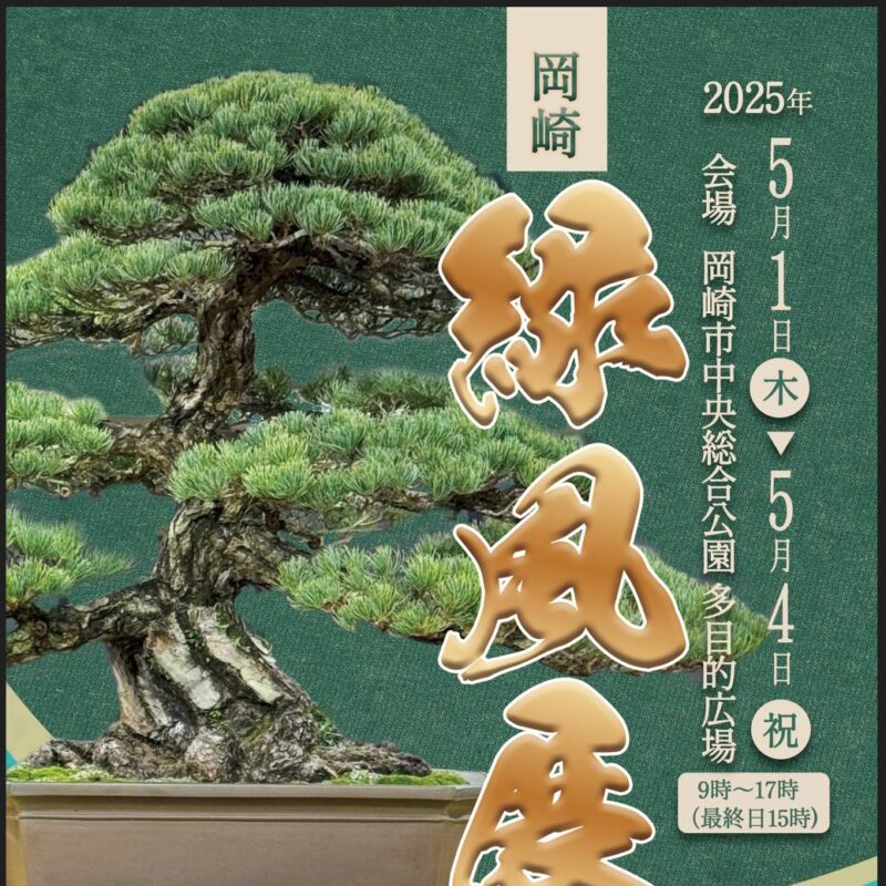 盆栽のレンタル・販売・教室・手入れ・育て方のことなら愛知の 盆栽のレンタル・販売・教室・手入れ・育て方のことなら愛知の
