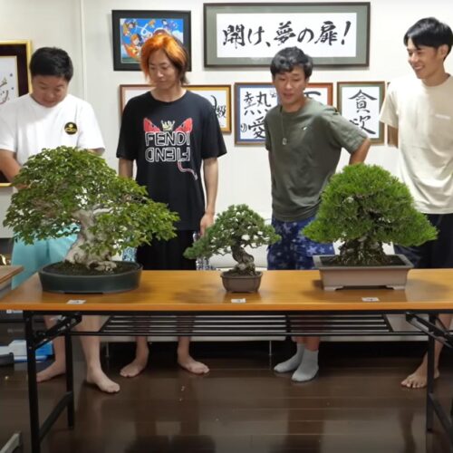 東海オンエアと盆栽大樹園