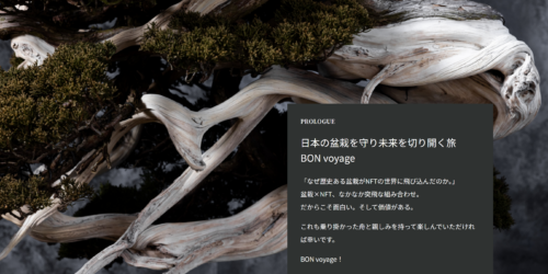 盆栽NFT　BON voyage