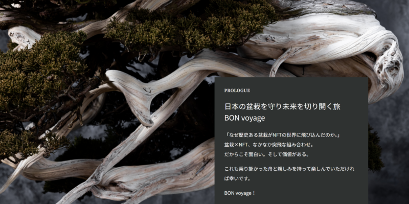 盆栽NFT　BON voyage