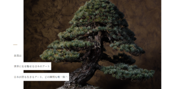新しく生まれ変わります (1)
