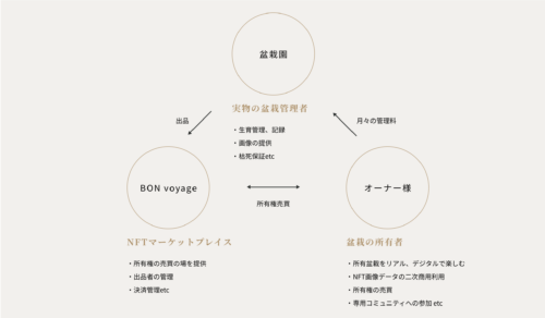 盆栽NFT　Bonvoyage
