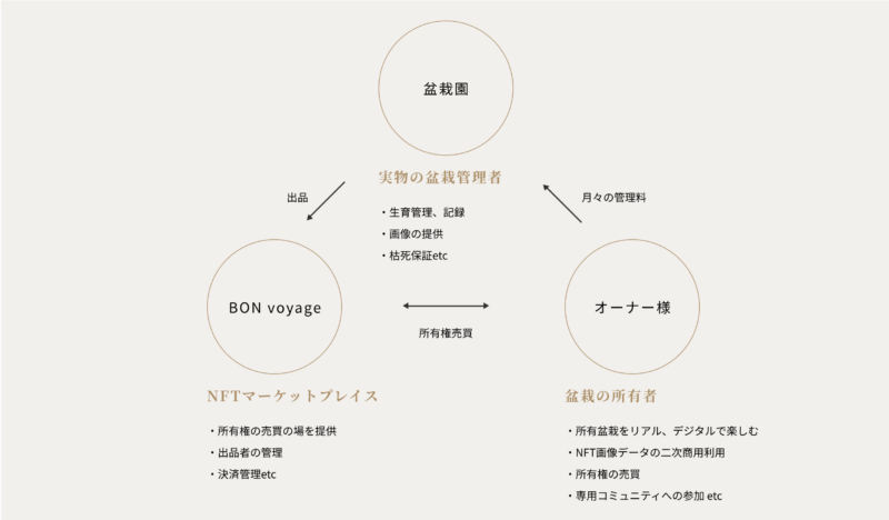 盆栽NFT　Bonvoyage