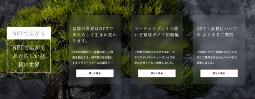盆栽NFT　Bonvoyage