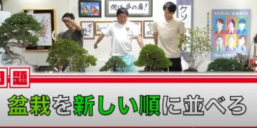 東海オンエア１