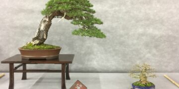 IMG_0570