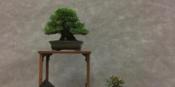 IMG_0580