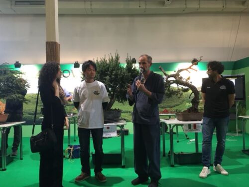 盆栽スロバキア
