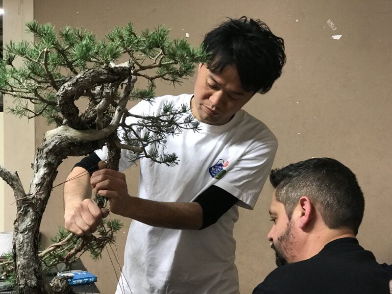 フランス盆栽デモンストレーションAlbi