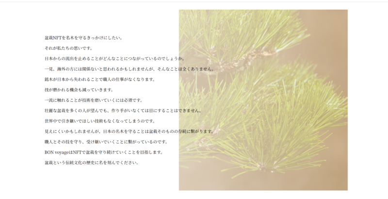 盆栽NFT　Bonvoyage