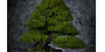 Prologue] (4)